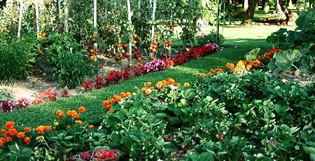 jardinage